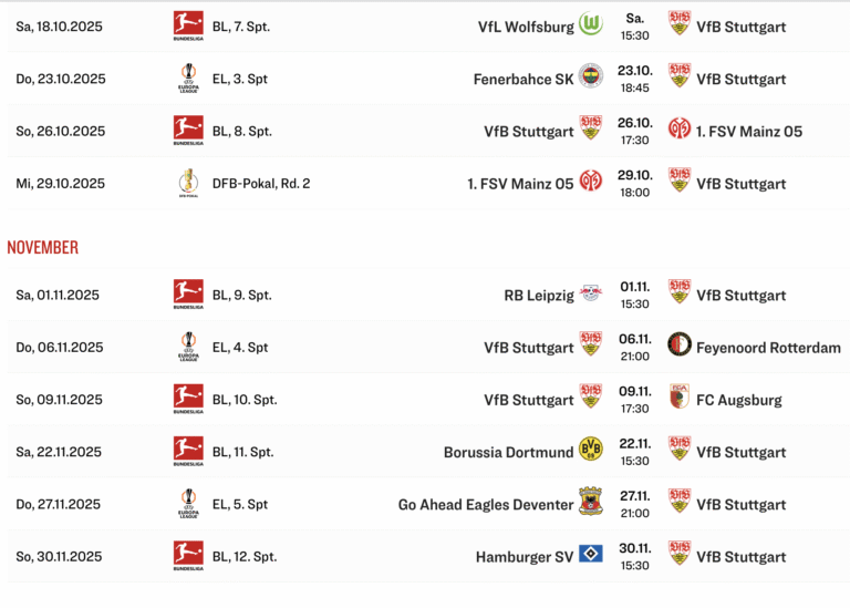 VfB